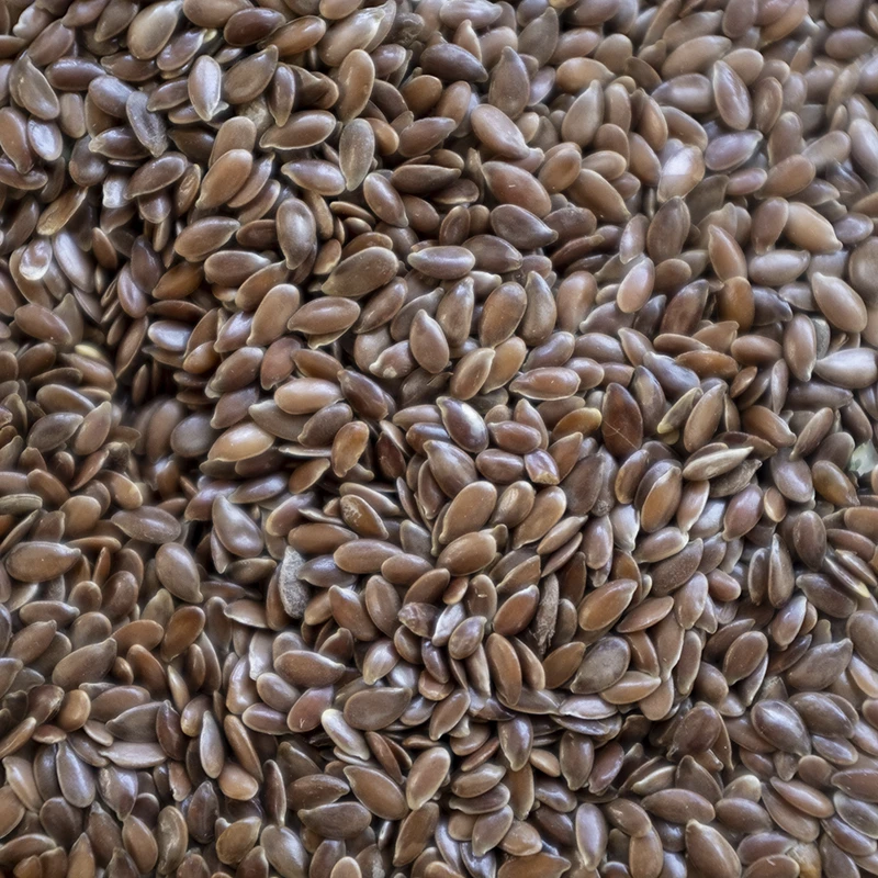Semi di Lino