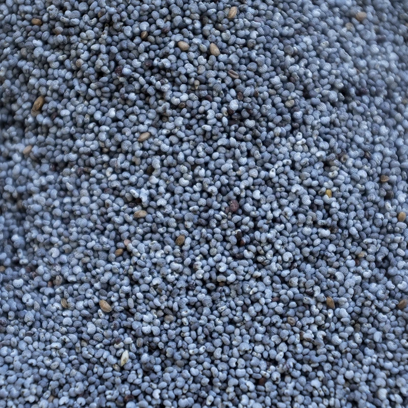 Semi di Papavero